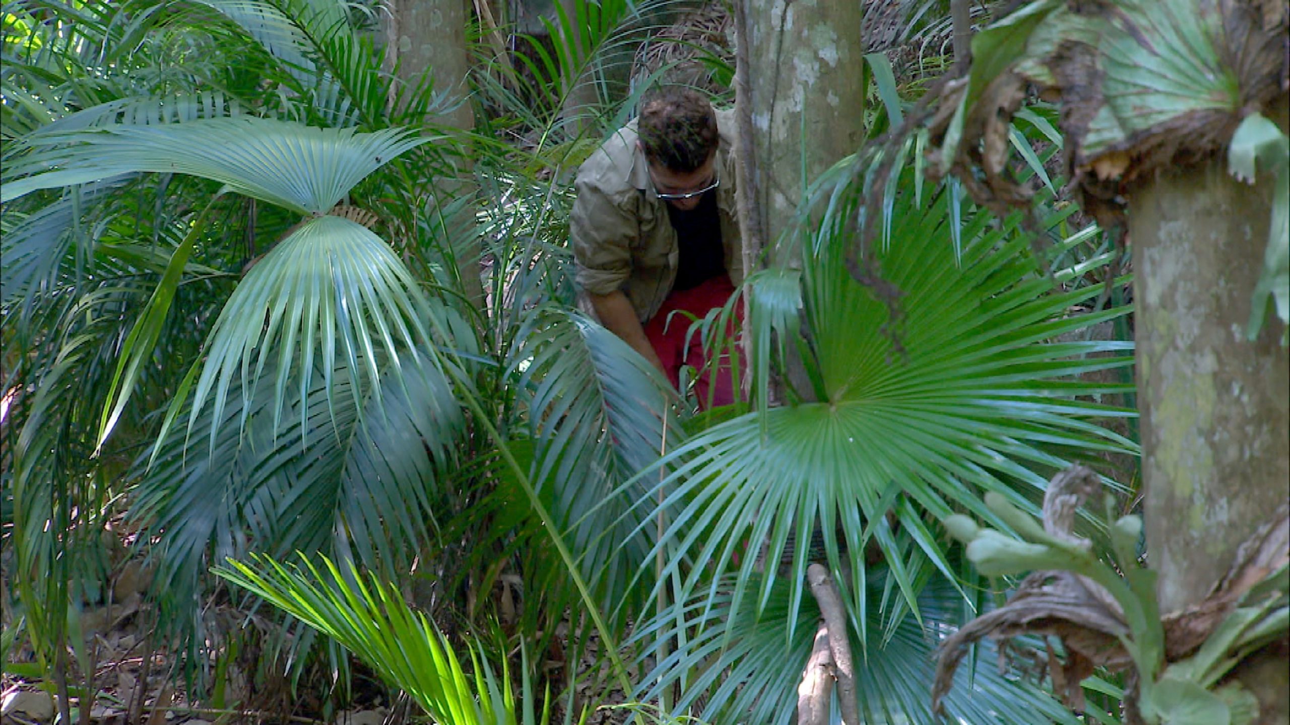Tag 8: Tränen, ein verknackster Fuß und zweifacher Besuch im Dschungelcamp 5