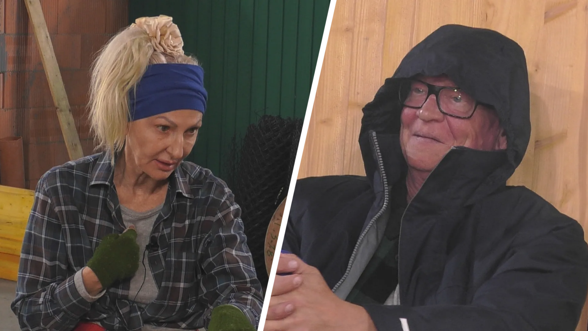 Promi Big Brother 2025 Desiree und Michael
